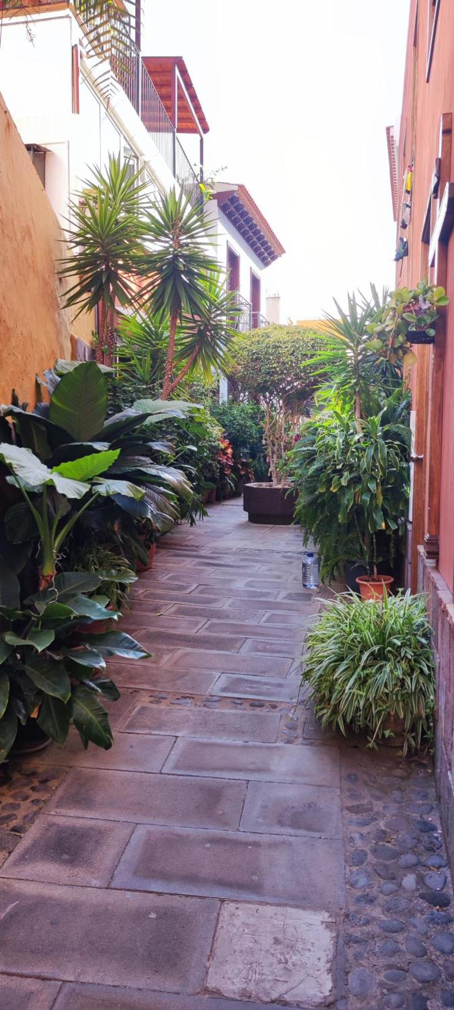 Appartamento Teideplaya Puerto de la Cruz  Esterno foto